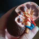 diabetes e doenças renais